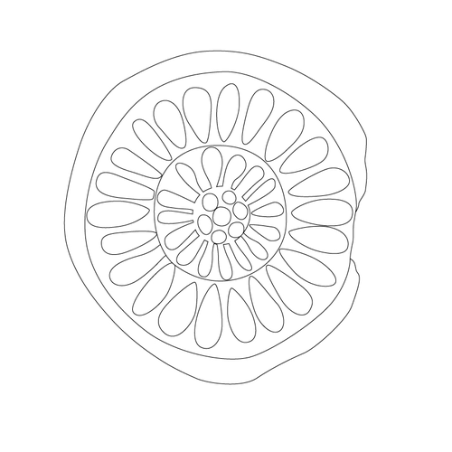 연화문수막새(51551)