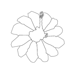 연꽃문(75808)