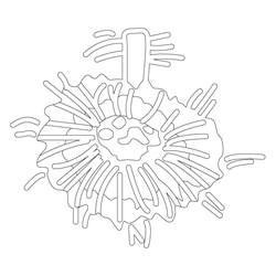 국화문(62501)