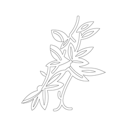 잎사귀문(6793)