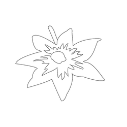 꽃문(76455)