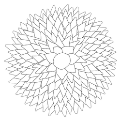 베갯모(80692)