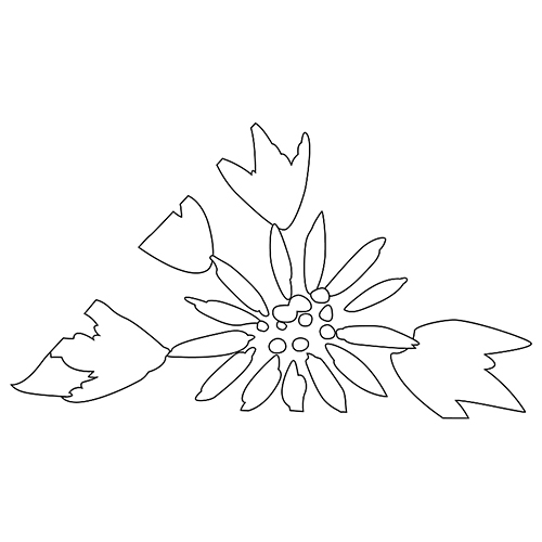 꽃문(75350)