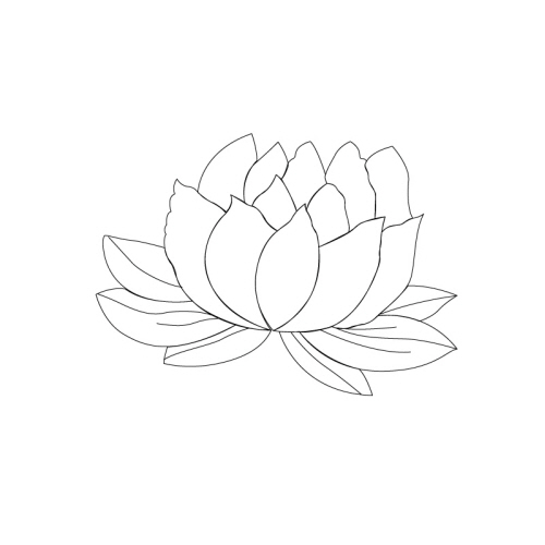 연꽃문(35349)