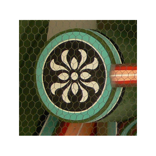 도리(19040)