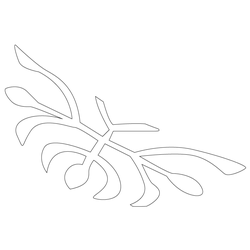 연꽃문(67666)