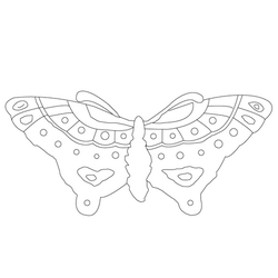 나비문(21034)