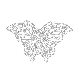 나비문(62808)