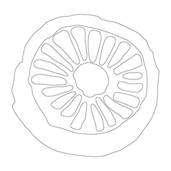 수막새(81890)