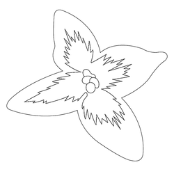 꽃문(74631)