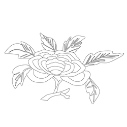 모란문(70412)