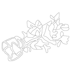 모란문(62647)
