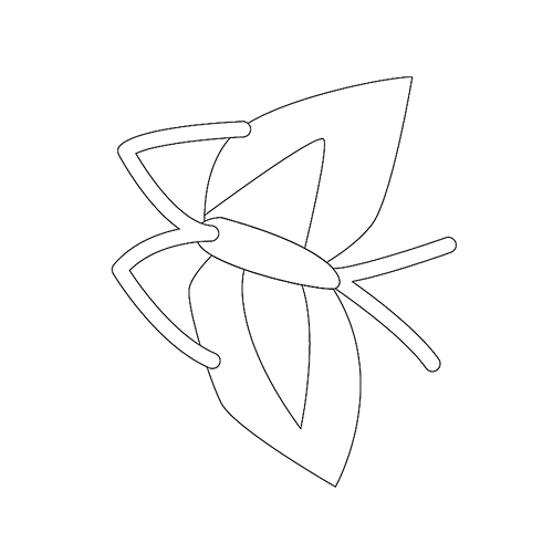나비문(75463)