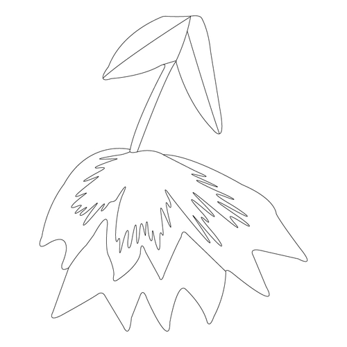 꽃문(81784)
