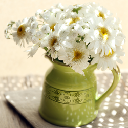 법주사 일주문활용화분(728)