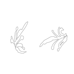 청자철회당초문대접(16231)