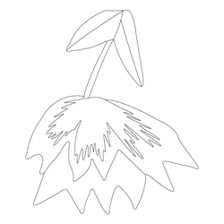 꽃문(81784)