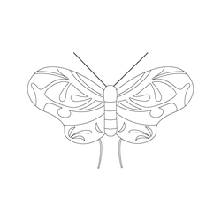 나비문(7628)