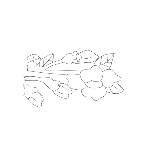 모란문(35264)