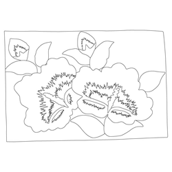 베갯모(74677)