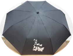 우산(62)