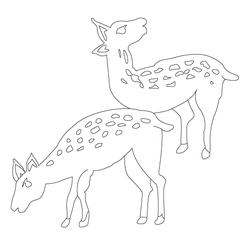 사슴문(3675)