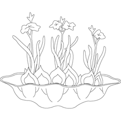 꽃,그릇(4725)