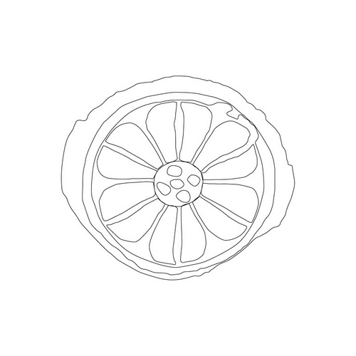 연화문수막새(17423)