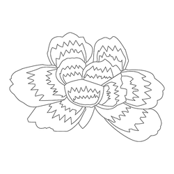 모란문(75154)