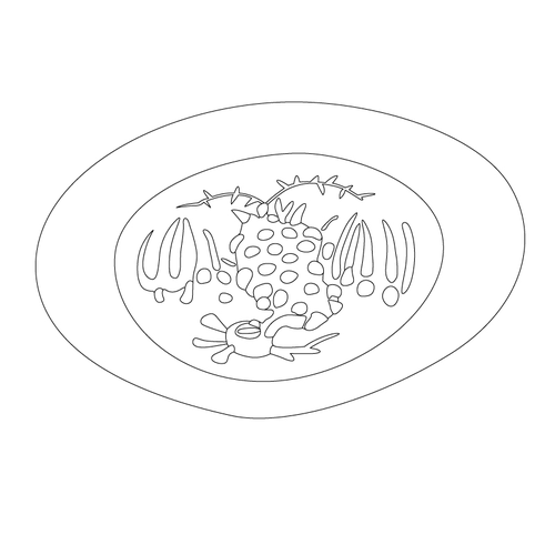 창경궁 통명전 수막새(60712)