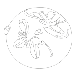 백자청화초화문원형연적(116329)