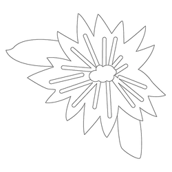 꽃문(74912)