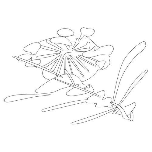 연꽃문(14390)