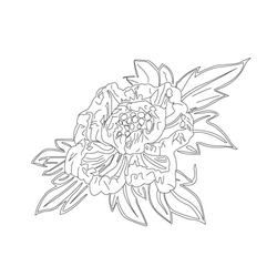꽃문(35350)