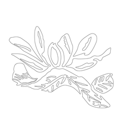 모란문(63546)