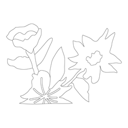 꽃문(62979)