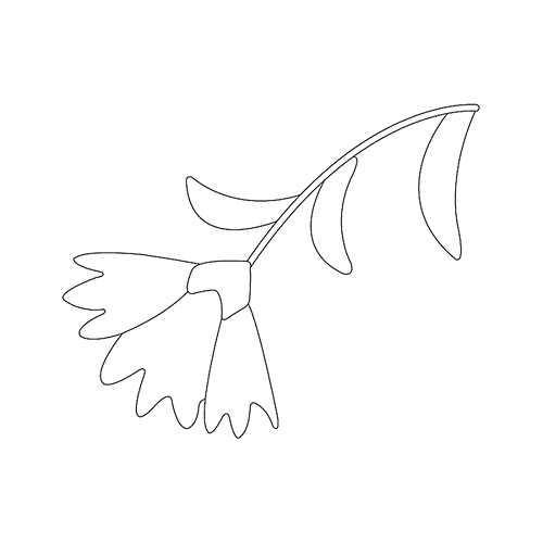 꽃문(74621)