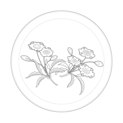 백자청화 풀꽃문 접시(116372)