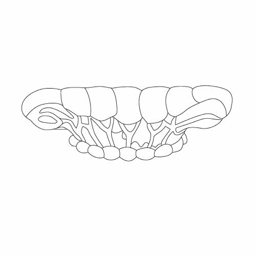 창경궁 통명전 연지 난간(111499)