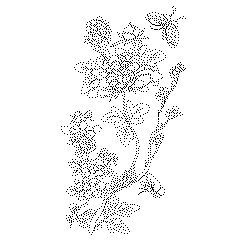 6폭병풍(114288)