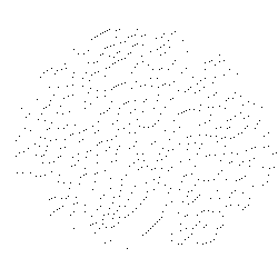 부채자루(100376)