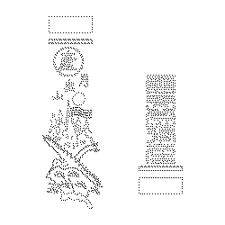 참빗(114606)