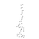 금조도(101352)