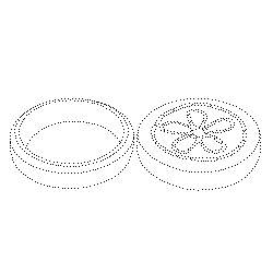 인합(113561)