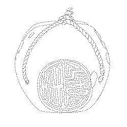 수결각인(114005)