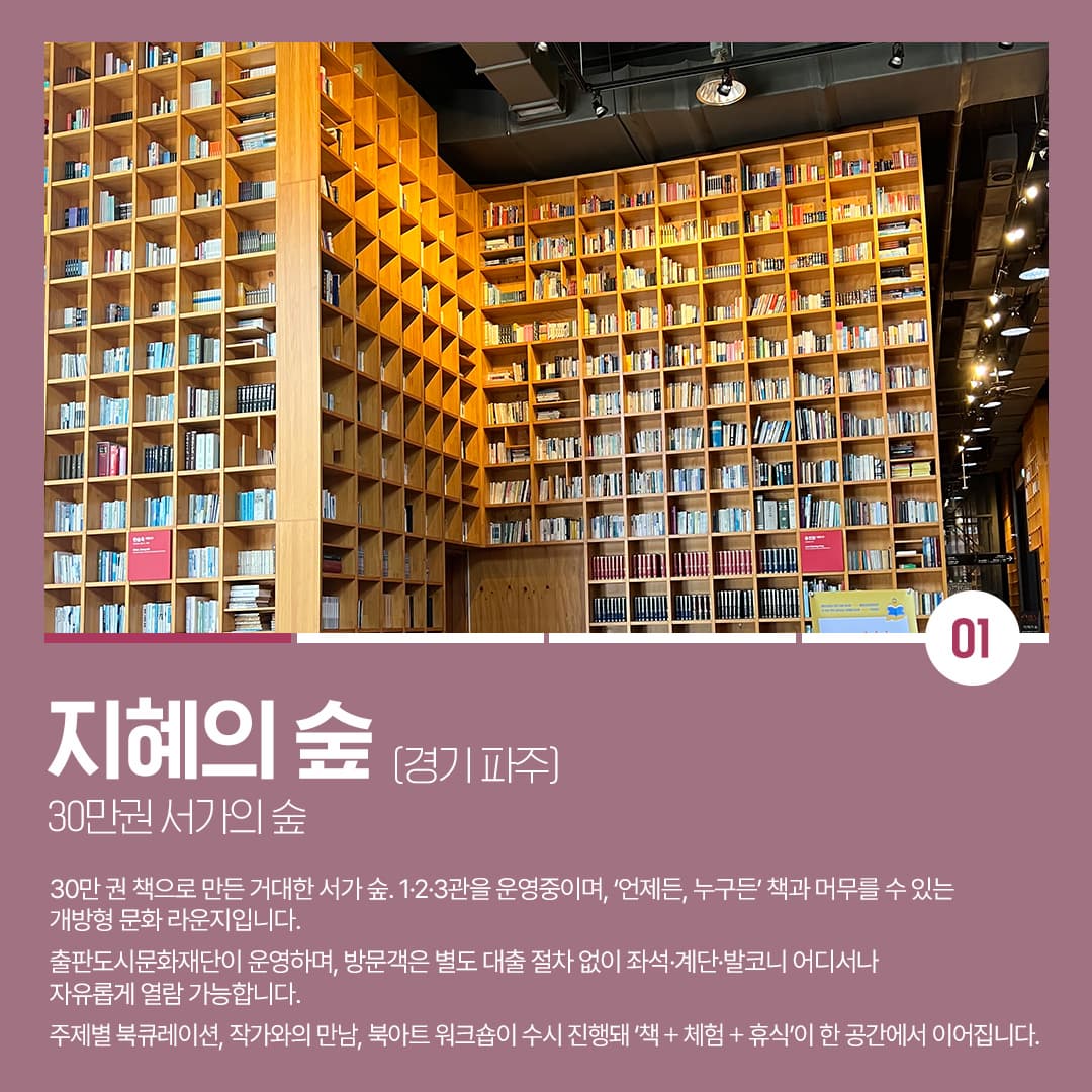 독서를 넘어, 전시, 체험, 건축, 풍경이 어우러진  책 테마 명소이미지
