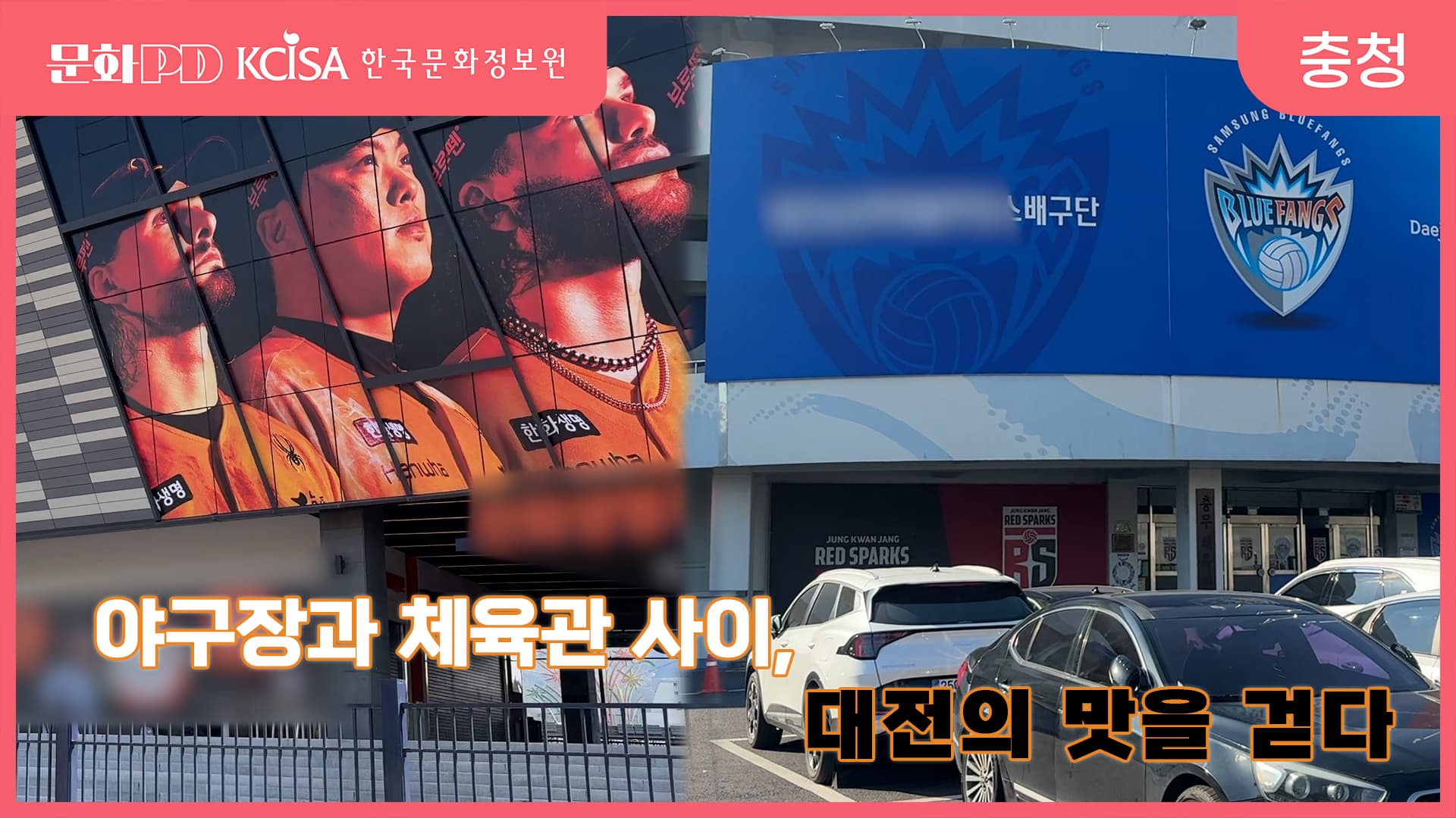 [문화PD] 야구장과 배구장 사이, 대전의 맛을 걷다