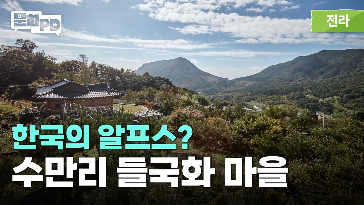 [문화PD] 복잡한 머리를 비우고 싶을 때 찾아가는 곳 ㅣ 화순 수만리 들국화마을 힐링 여행