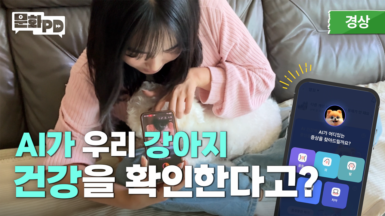  [문화PD] AI로 우리 강아지 건강을 확인해봤습니다!