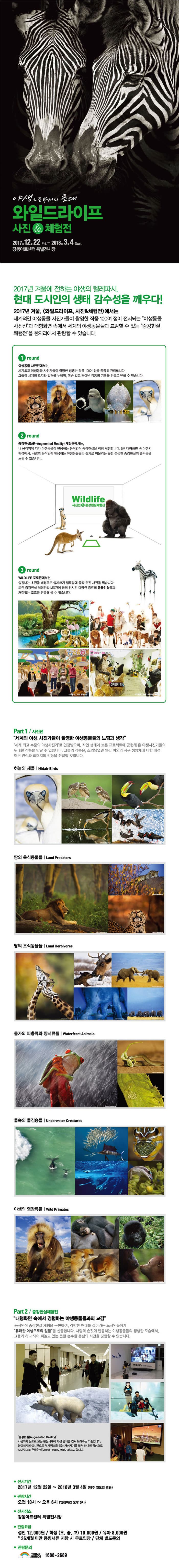 야생으로부터의 초대 와일드라이프 사진 앤 체험전 2017.12.22 Fri ~ 2018.3.4 Sun 강동아트센터 특별전시장 2017년 겨울에 전하는 야생의 텔레파시, 현대 도시인의 생태 감수성을 깨우다! 2017년 겨울, 와일드라이프, 사진 앤 체험전에서는 세계적인 야생동물 사진가들이 촬영한 작품 100여 점이 전시되는 야생동물 사진전과 대형화면 속애서 세계의 야생동물들과 교감할 수 있는 증강현실체험전을 한자리에서 관람할 수 있습니다. 1round 세계최고 야생동물 사진가들이 촬영한 생생한 작품 100여 점을 꼼꼼히 관람합니다. 그들이 세계의 오지와 밀림을 누비며, 목숨 걸고 담아낸 감동의 기록을 선물로 받을 수 있습니다. 2round 증강현실(AR Augmented Reality)체험관에서는, 내 움직임에 따라 야생동물이 반응하는 동작인식 증강현실을 직접 체험합니다. 5M 대형화면 속 야생의 배경에서, 사람의 움직임에 반응하는 야생동물들과 실제로 어울리는 듯한 생생한 증강현실의 즐거움을 느낄 수 있습니다. Wildllife 사진전 앤 증강현실체험전 3round WILDLIFE포토존에서는 실감나는 초원을 배경으로 실제크기 얼룩말에 올라 멋진 사람을 찍습니다. 또한 증강현실 체험관과 MD관에 함께 전시된 다양한 종류의 동물인형들과 재미있는 포즈를 연출해 볼 수 있습니다. Part1 사진전 세계의 야생 사진가들이 촬영한 야생동물들의 느낌과 생각 세계 최고 수준의 야생사진가로 인정받으며, 자연 생태계 보존 프로젝트에 공헌해 온 야생사진가들의 위대한 작품을 만날 수 있습니다. 그들의 작품은, 소외되었던 인간 이외의 지구 생명체에 대한 애정 어린 관심과 최대치의 감동을 전달할 것입니다. 하늘의 새들 Midair Birds / 땅의 육식동물들 Land Predators 땅의 초식동물들 Land Herbivores 물가의 파충류와 양서류들 Waterfront Animals 물속의 물짐승들 Underwater Cretures 야생의 영장류들 Wild Primates Part2 증강현실체험전 대형화면 속에서 경험하는 야생동물들과의 교감 동작인식 증강현실 체험을 구현하여, 각박한 현대를 살아가는 도시인들에게 유쾌한 야생으로의 일탈을 선물합니다. 사람의 손짓에 반응하는 야생동물들의 생생한 모습에서, 그들과 하나되어 뛰놀고 있는 듯한 순수한 동심의 시간을 경험할 수 있습니다. 증강현실(Augmented Reality) 사용자가 눈으로 보는 현실세계에 가상 물체를 겹쳐 보여주는 기술입니다. 현실세계에서 실시간으로 부가정보를 갖는 가상세계를 합쳐 하나의 영상으로 보여주므로 혼합현실(Mixed Reality, MR)이라고도 합니다. 전시기간 2017년 12월 22일 ~ 2018년 3월 4일(매주 월요일 휴관) 관람시간 오전 10시 ~ 오후 6시(입장마감 오후 5시) 전시장소 강동아트센터 특별전시장 관람요금 성인 12,000원 / 학생(초중고) 10,000원 / 유아 8,000원 36개월 미만 증빙서류 지참 시 무료입장 / 단체 별도문의 관람문의 씽크브릿지 1688-2689